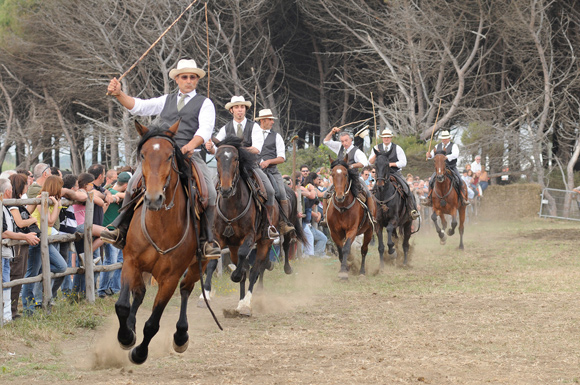 Cavalli Game Fair